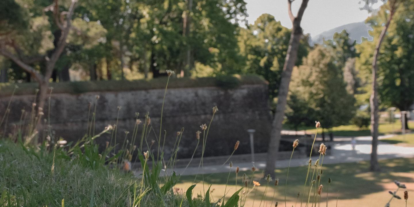 Lucca is my home —